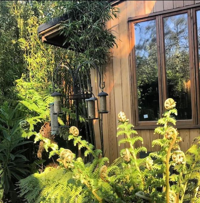 Jungle Cabin Martin Mill Екстер'єр фото