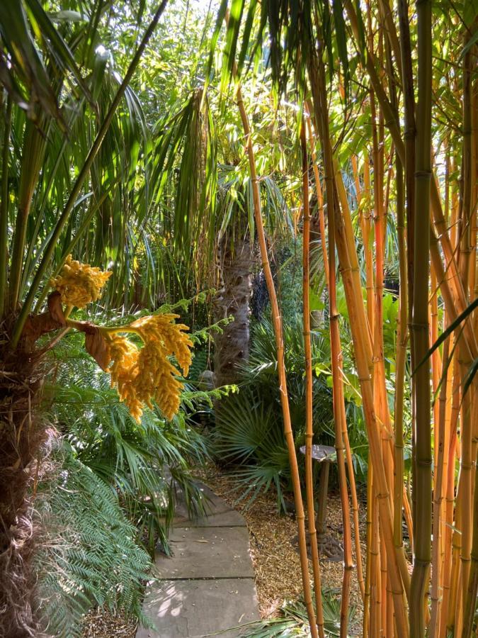 Jungle Cabin Martin Mill Екстер'єр фото