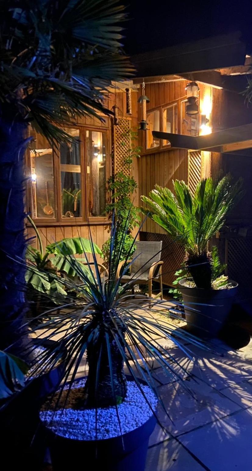 Jungle Cabin Martin Mill Екстер'єр фото